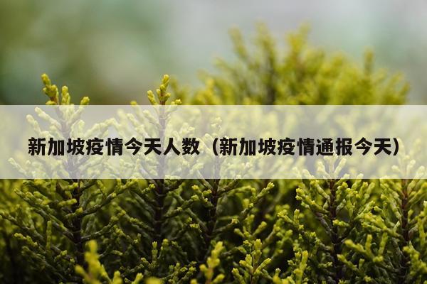 新加坡疫情今天人数（新加坡疫情通报今天）