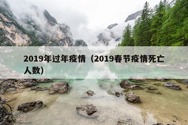 2019年过年疫情（2019春节疫情死亡人数）
