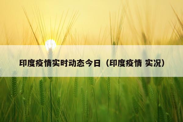印度疫情实时动态今日（印度疫情 实况）