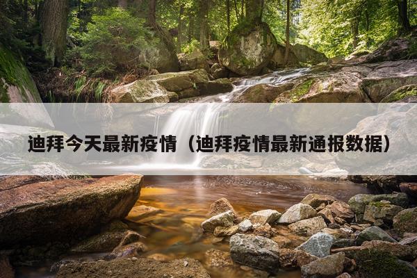 迪拜今天最新疫情（迪拜疫情最新通报数据）