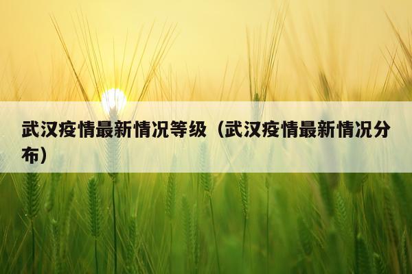 武汉疫情最新情况等级（武汉疫情最新情况分布）