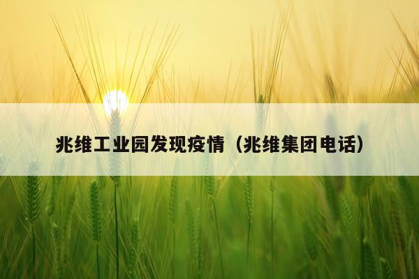 兆维工业园发现疫情（兆维集团电话）