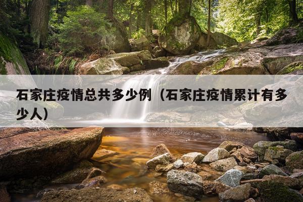 石家庄疫情总共多少例（石家庄疫情累计有多少人）