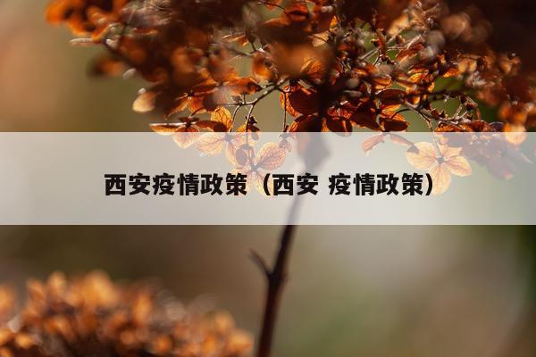 西安疫情政策（西安 疫情政策）