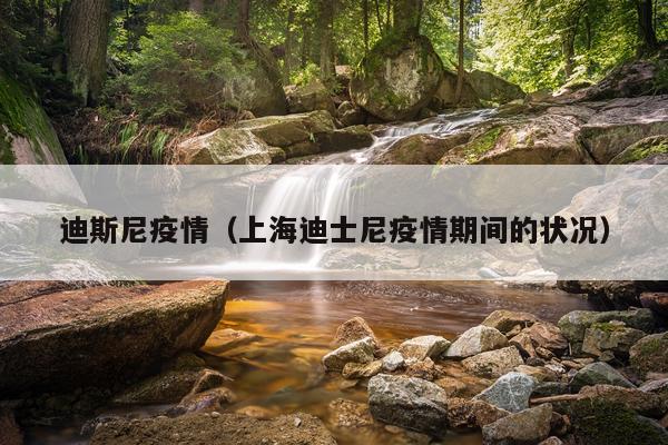 迪斯尼疫情（上海迪士尼疫情期间的状况）