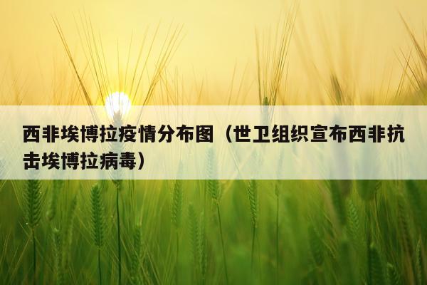 西非埃博拉疫情分布图（世卫组织宣布西非抗击埃博拉病毒）