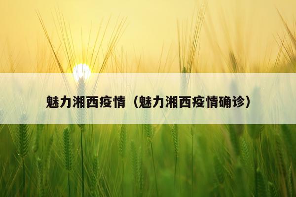 魅力湘西疫情（魅力湘西疫情确诊）