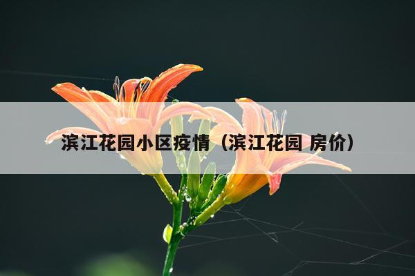 滨江花园小区疫情（滨江花园 房价）