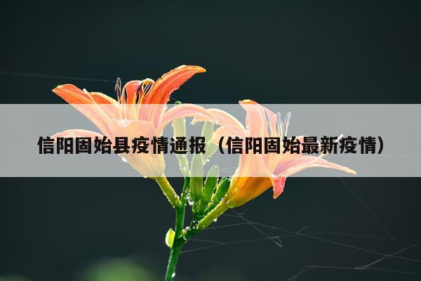 信阳固始县疫情通报（信阳固始最新疫情）