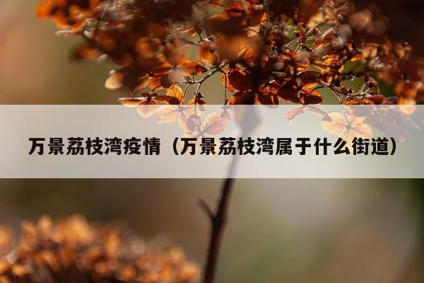 万景荔枝湾疫情（万景荔枝湾属于什么街道）