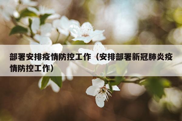 部署安排疫情防控工作（安排部署新冠肺炎疫情防控工作）