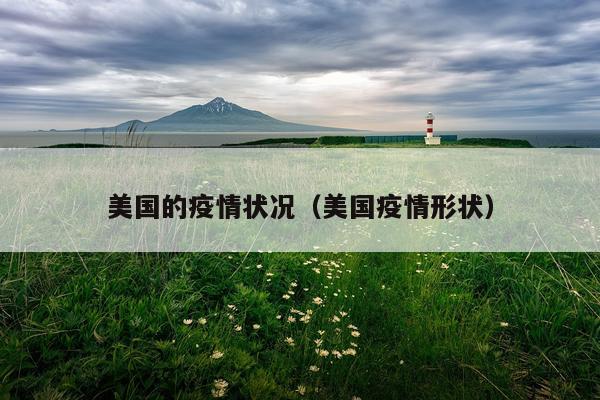 美国的疫情状况（美国疫情形状）