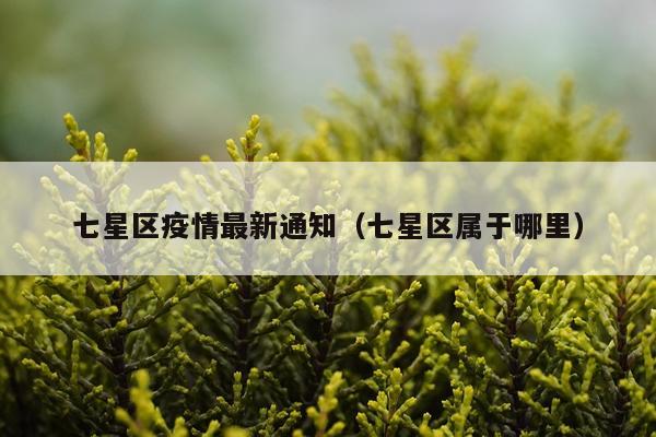 七星区疫情最新通知(七星区属于哪里)