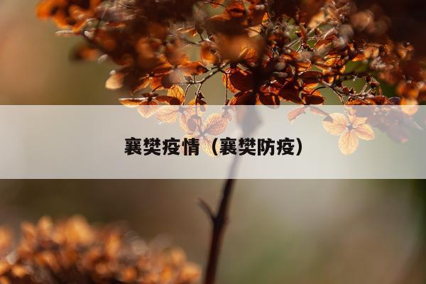 襄樊疫情(襄樊防疫)