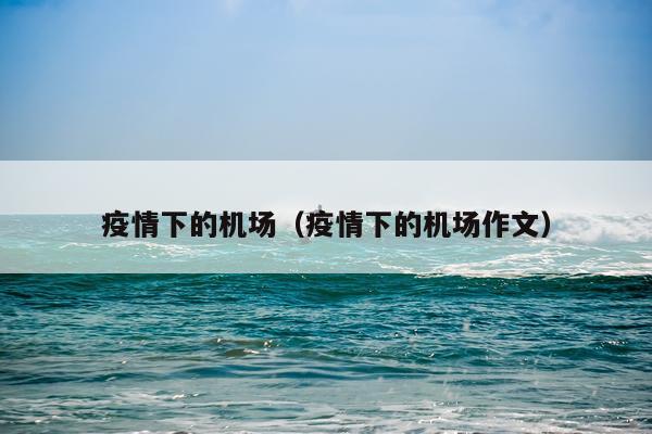 疫情下的机场(疫情下的机场作文)