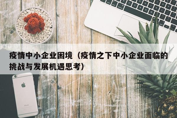 疫情中小企业困境(疫情之下中小企业面临的挑战与发展机遇思考)
