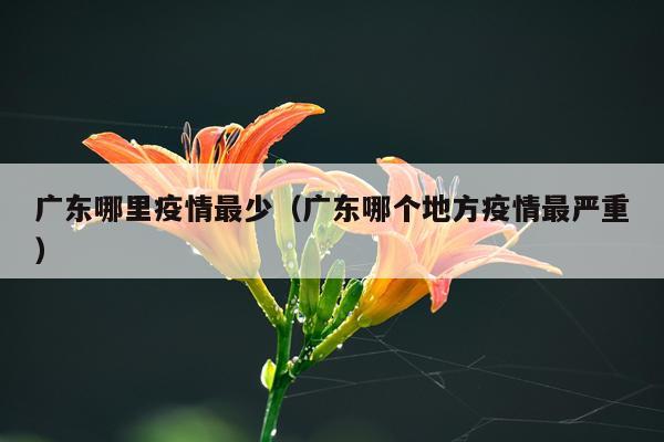 广东哪里疫情最少（广东哪个地方疫情最严重）