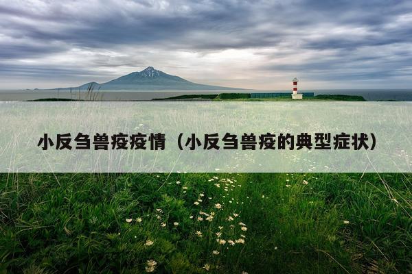 小反刍兽疫疫情（小反刍兽疫的典型症状）