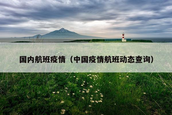国内航班疫情（中国疫情航班动态查询）