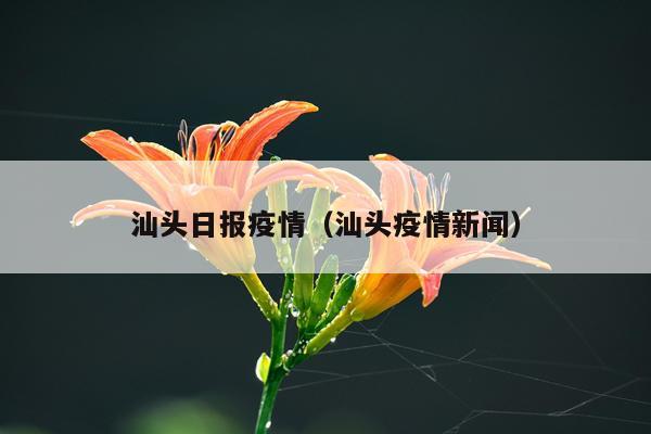 汕头日报疫情（汕头疫情新闻）