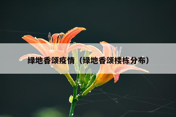 绿地香颂疫情(绿地香颂楼栋分布)