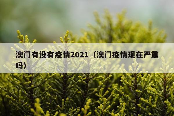 澳门有没有疫情2021（澳门疫情现在严重吗）