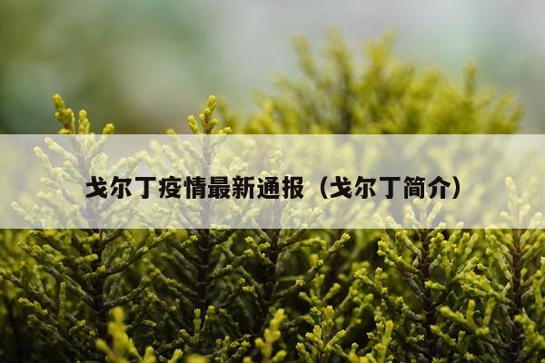 戈尔丁疫情最新通报(戈尔丁简介)