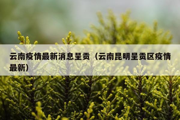 云南疫情最新消息呈贡(云南昆明呈贡区疫情最新)