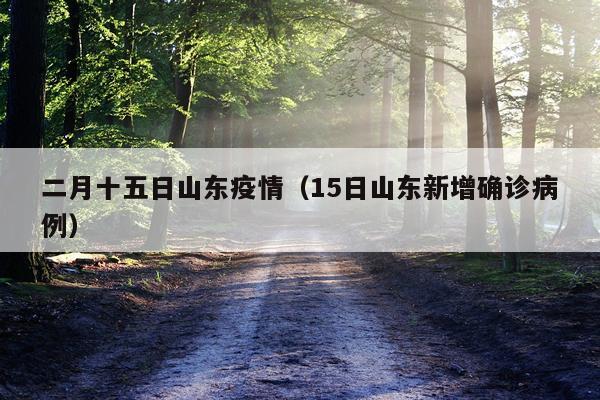 二月十五日山东疫情(15日山东新增确诊病例)