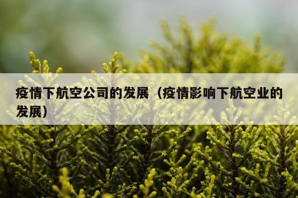 疫情下航空公司的发展（疫情影响下航空业的发展）
