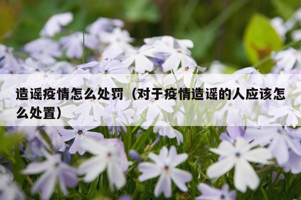 造谣疫情怎么处罚（对于疫情造谣的人应该怎么处置）