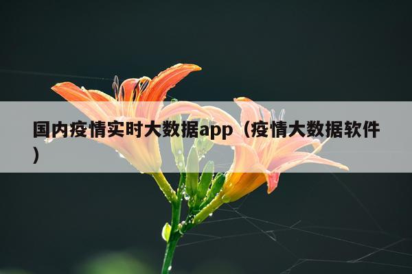 国内疫情实时大数据app(疫情大数据软件)