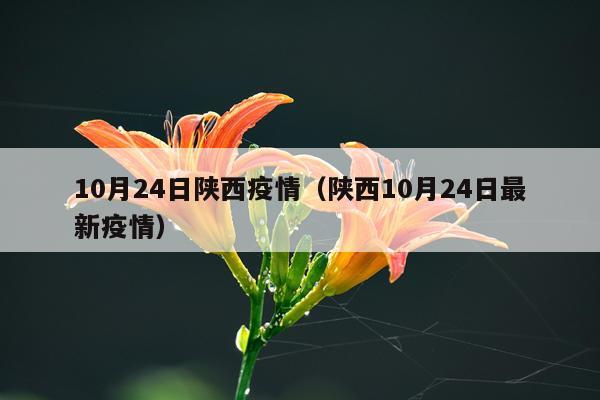 10月24日陕西疫情（陕西10月24日最新疫情）