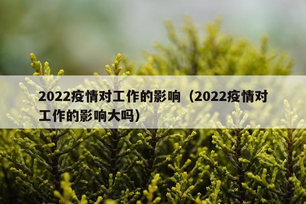 2022疫情对工作的影响(2022疫情对工作的影响大吗)