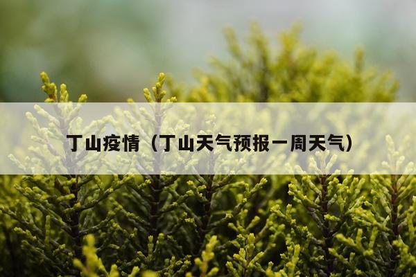 丁山疫情（丁山天气预报一周天气）