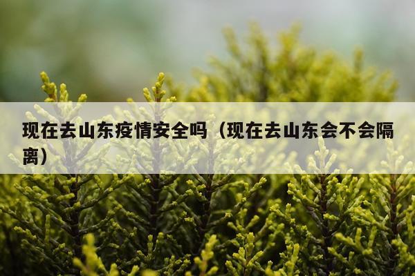 现在去山东疫情安全吗(现在去山东会不会隔离)