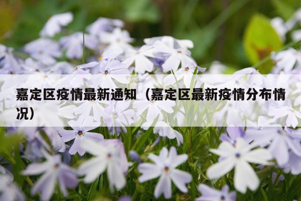 嘉定区疫情最新通知（嘉定区最新疫情分布情况）