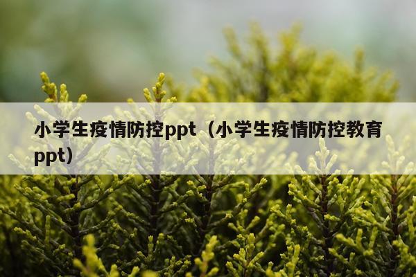 小学生疫情防控ppt(小学生疫情防控教育ppt)
