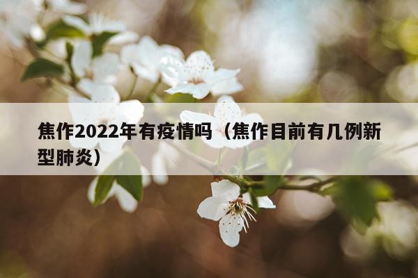 焦作2022年有疫情吗（焦作目前有几例新型肺炎）