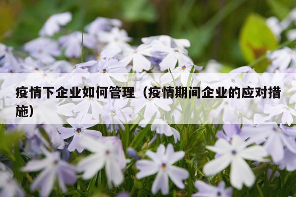 疫情下企业如何管理（疫情期间企业的应对措施）