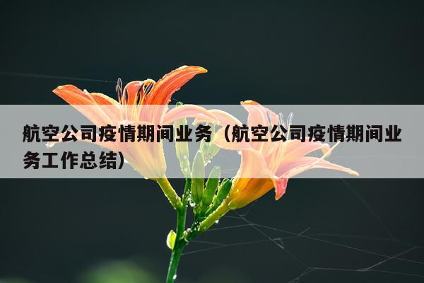 航空公司疫情期间业务（航空公司疫情期间业务工作总结）
