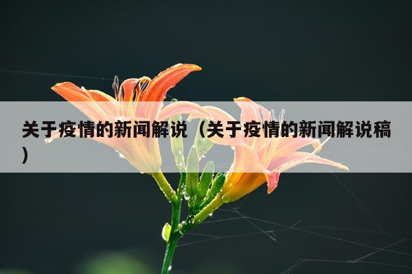 关于疫情的新闻解说（关于疫情的新闻解说稿）