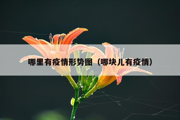 哪里有疫情形势图（哪块儿有疫情）