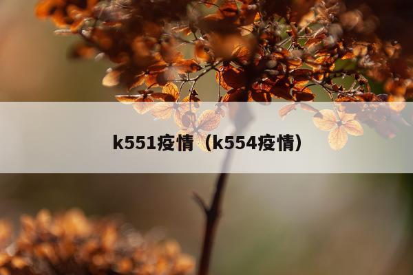 k551疫情(k554疫情)