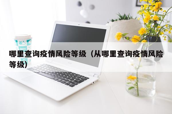 哪里查询疫情风险等级（从哪里查询疫情风险等级）