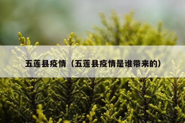 五莲县疫情(五莲县疫情是谁带来的)