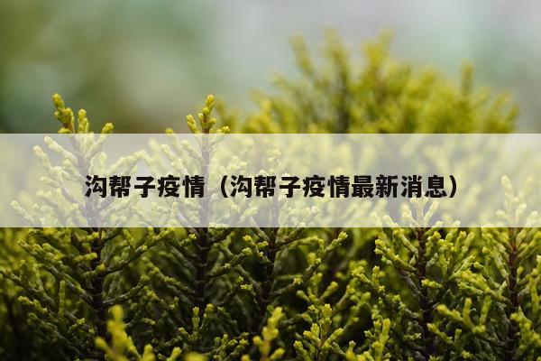 沟帮子疫情(沟帮子疫情最新消息)