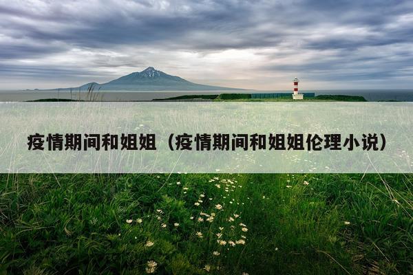 疫情期间和姐姐（疫情期间和姐姐伦理小说）