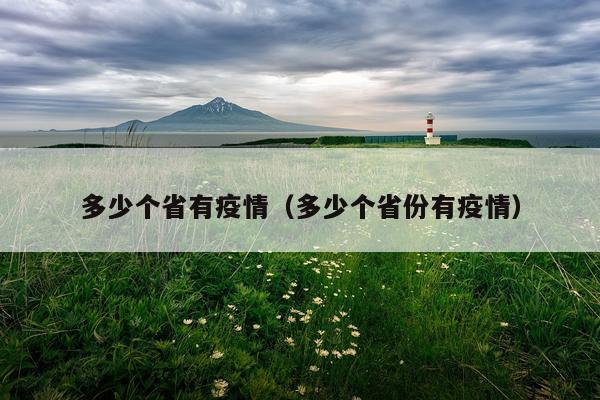 多少个省有疫情(多少个省份有疫情)
