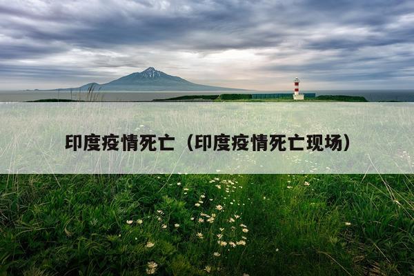 印度疫情死亡（印度疫情死亡现场）